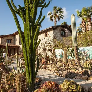 Garden Cactus , Villaggio Mosè Italien